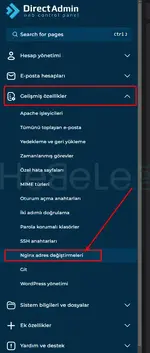 directadmin-nginx-yapilandirmasi-1.webp