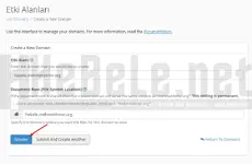cpanel-alt-alan-adi-olusturma-3.webp